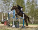 Конные соревнования 7-8 мая 2011